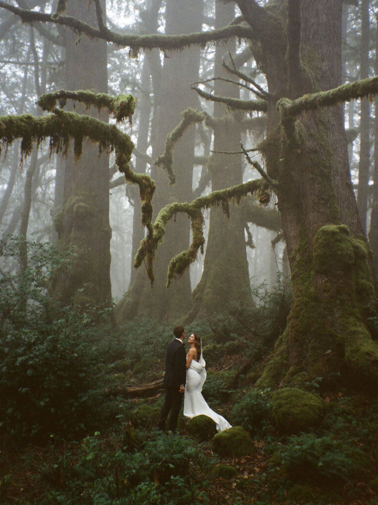First look between bride and groom in a foggy old-growth forest elopement